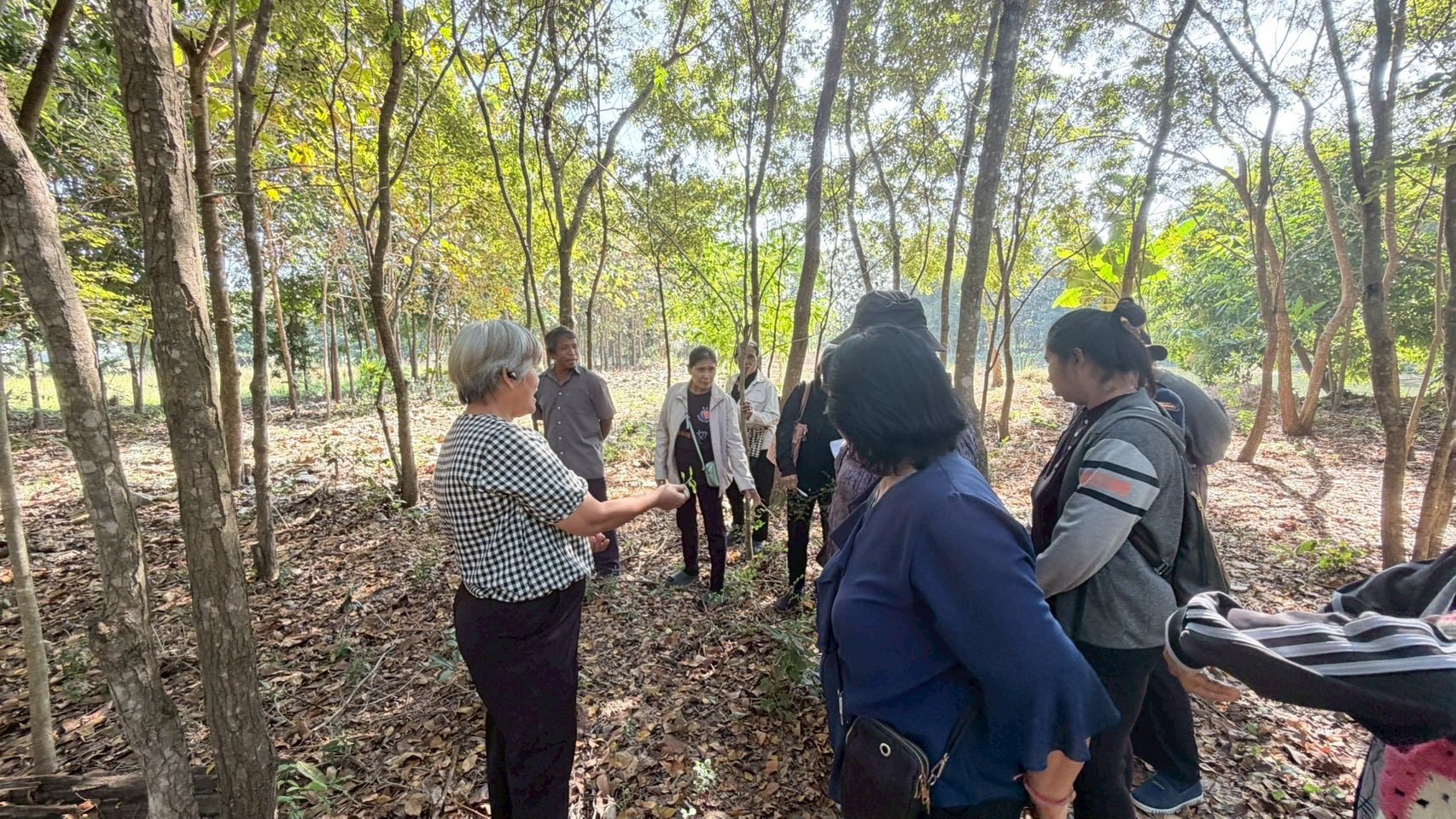 title - ส.ป.ก.อ่างทอง จัดอบรมโครงการยกระดับศักยภาพการพัฒนาสินค้าเกษตรชีวภาพ กิจกรรมยกระดับศักยภาพการเกษตรชีวภาพ ปีงบประมาณ พ.ศ. 2569 หลักสูตร “การเพิ่มประสิทธิภาพการผลิตพืชสมุนไพรในเขตปฏิรูปที่ดิน“